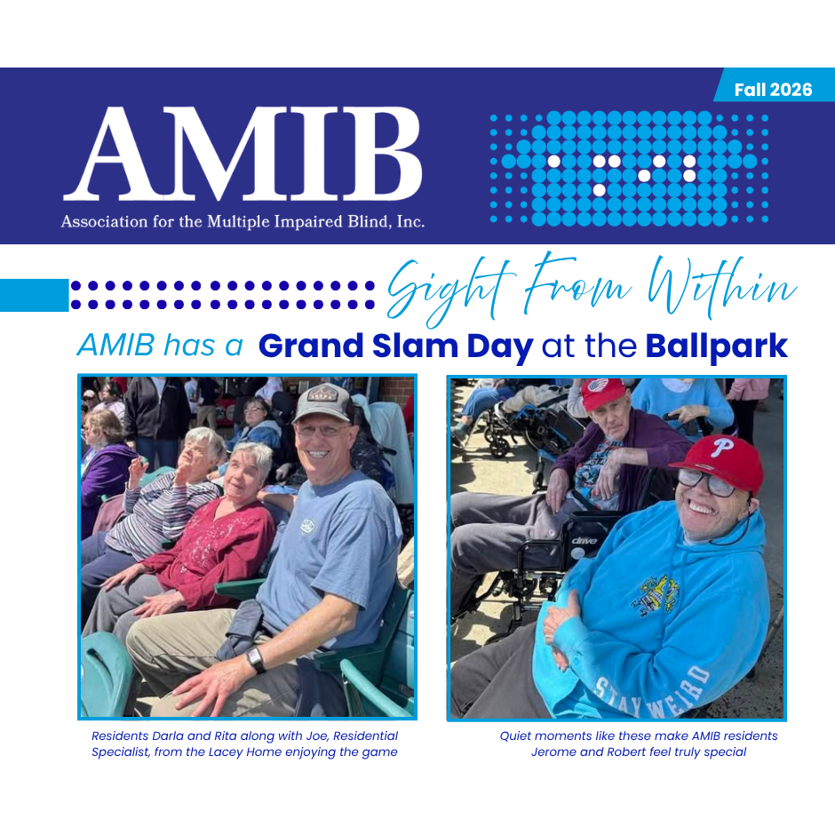 AMIB has a Grand Slam Day at the Ballpark